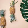 The Advantages of Sustainable Fashion: Embracing New Fibers Like Pineapple